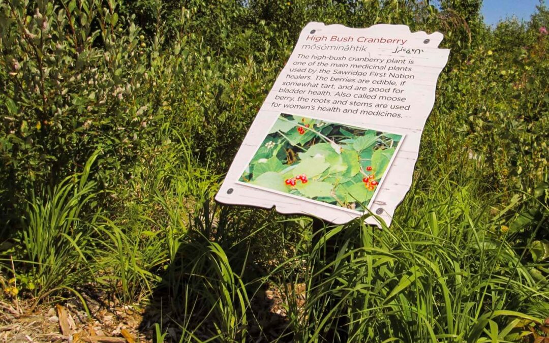 Slave Lake Visitor’s Information Centre